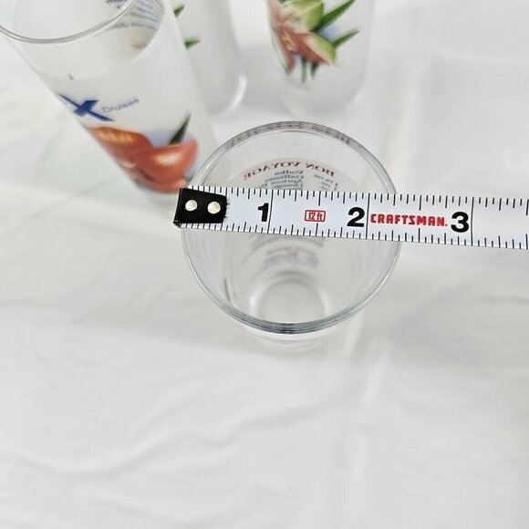 Celebrity Cruises Orchids Frosted High Ball Glasses Drink Recipe – Set of 4 - Picture 14 of 16